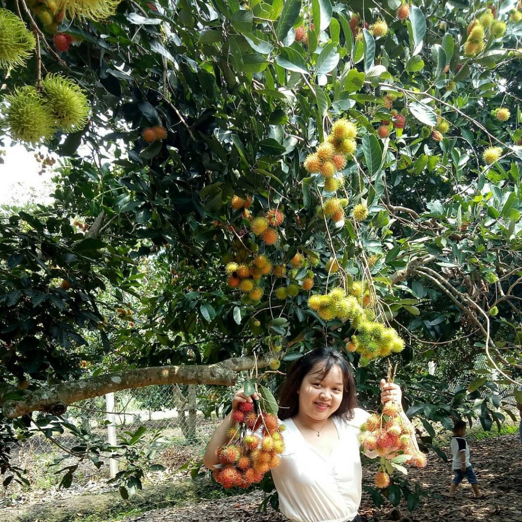 Vườn trái cây Trung An